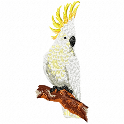 Parrots Embroidery Design 6